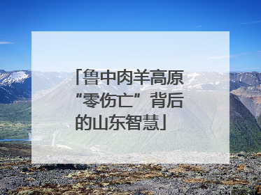 鲁中肉羊高原“零伤亡”背后的山东智慧